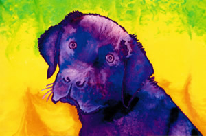 Dog Commission