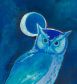 Night Owl (Screech Owl)