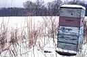 Quiet Hives, Adams Co., PA