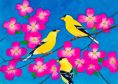 Goldfinches and Dogwood